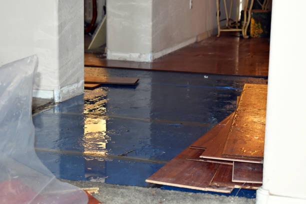 Professional Basement Water Removal technician working in Pierpont, OH